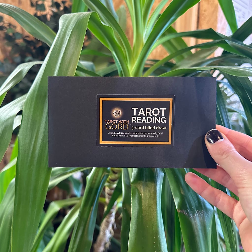 A black envelope labelled ‘Tarot Reading - 3-card blind draw’ with ‘Tarot with Gord’ branding, held in front of lush green leaves, showcasing a natural and inviting setting.