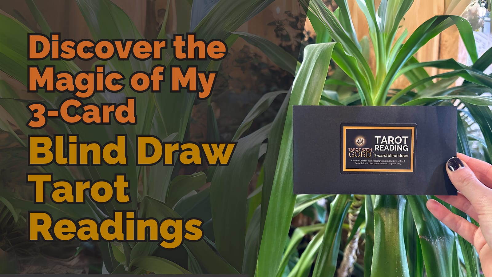 Black envelope labelled ‘Tarot Reading - 3-card blind draw’ held in front of lush green plants, with the text ‘Discover the Magic of My 3-Card Blind Draw Tarot Readings’ displayed in bold orange and yellow letters.