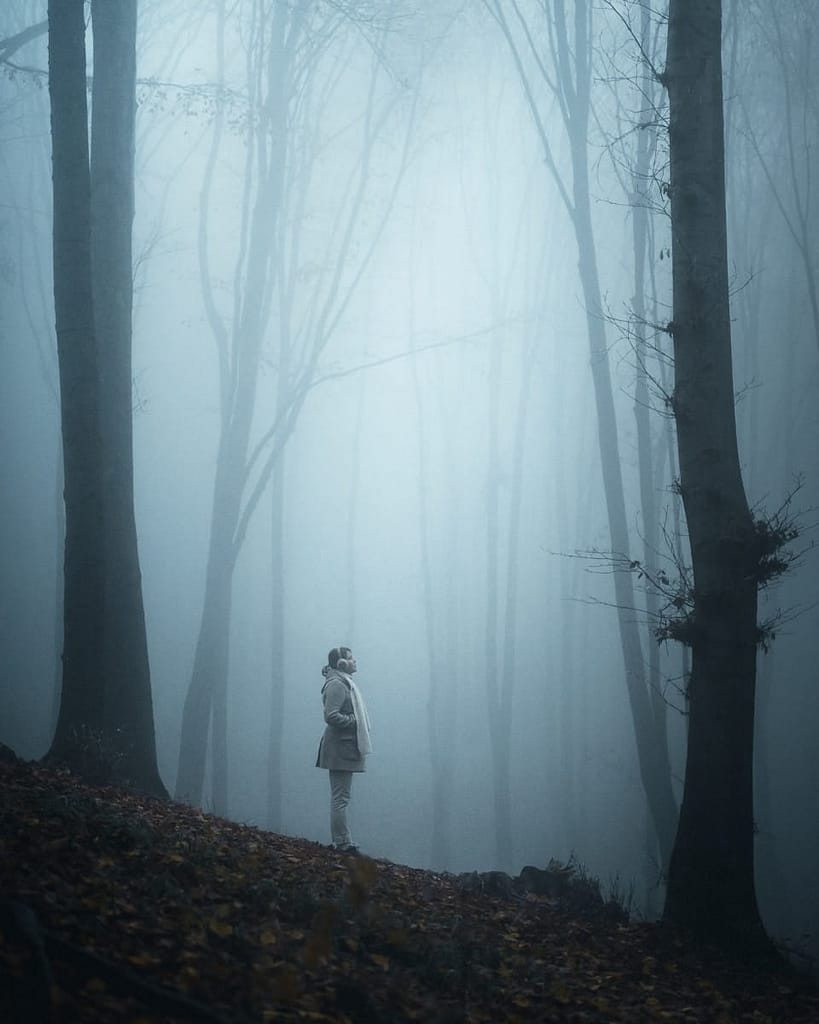 Person standing alone in a foggy forest, symbolising emotional disconnection and the slow, silent spiral Type Nine experiences when drifting from self-awareness.
