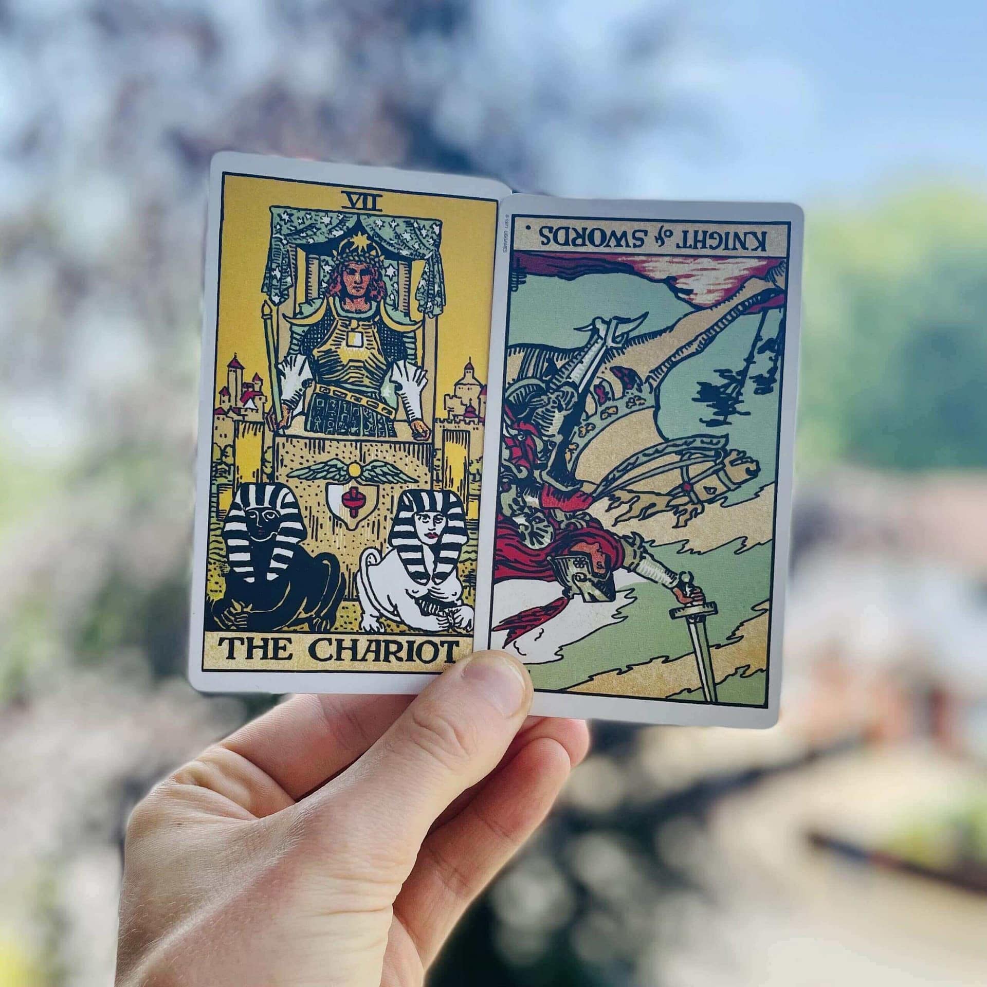 the chariot and the knight of swords in reverse - practising patient perseverance and how to slow the fuck down.