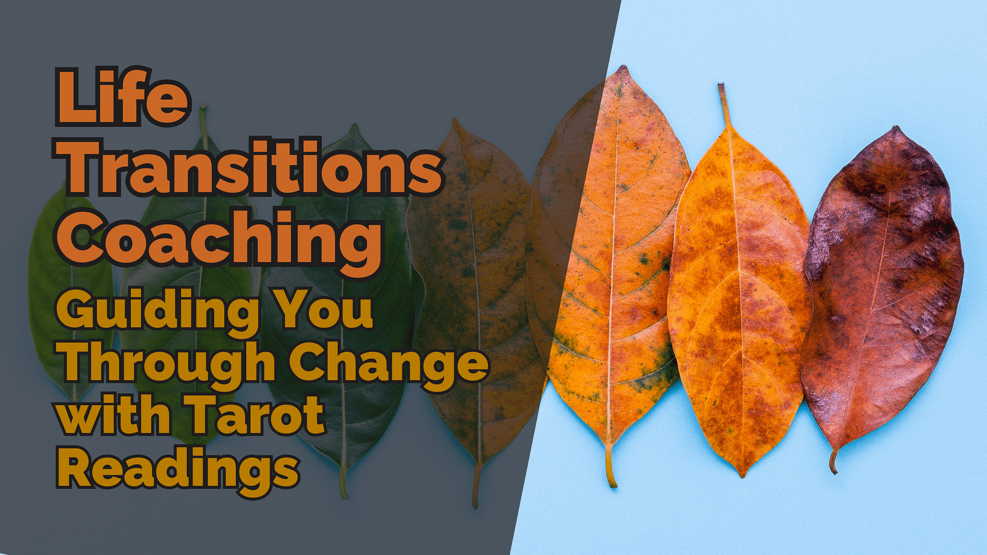 A sequence of leaves transitioning from green to autumn colours, symbolizing change, with a text overlay reading ‘Life Transitions Coaching: Guiding You Through Change with Tarot Readings.’