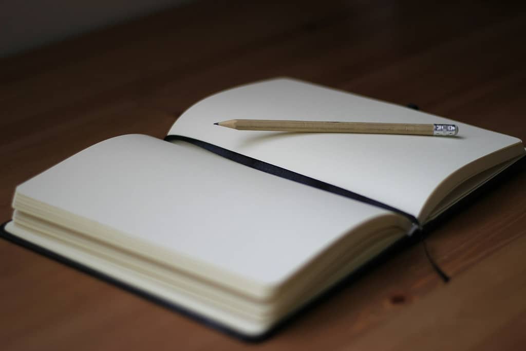 Brown pencil on white book page