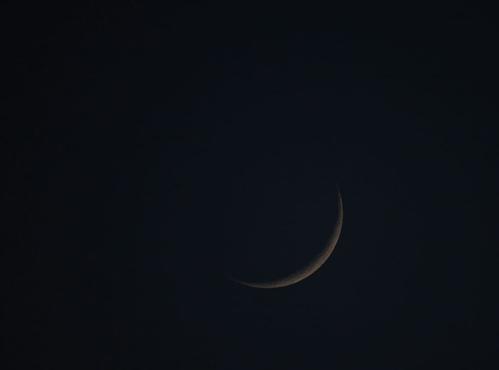 What'S The Best Moon Phase For Tarot Reading? All 8 Ranked Black and white new moon