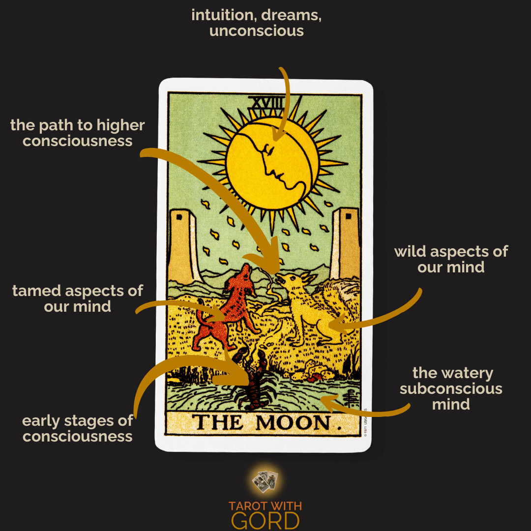 The moon 1