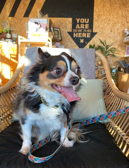 Meet the Tribe 30 image 5