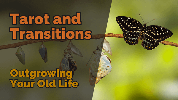 Chrysalis transforming into butterfly on a branch, symbolising growth and transformation, with text ‘tarot and transitions: outgrowing your old life’ overlayed.