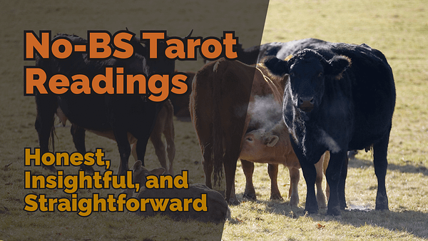 No bs tarot readings honest insightful and straightforward