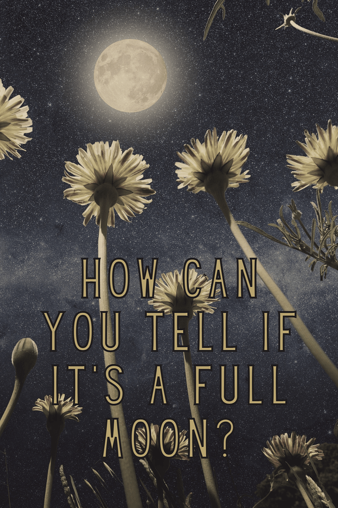 Full Moon: Meditate &Amp; Journal 5 How can you tell if it's a full moon?