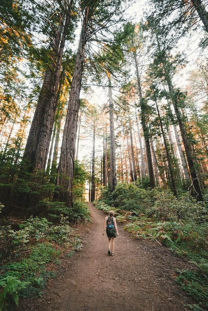 12 Types Of Meditation (That Aren'T Just Sitting Still) 2 Woman walking near plants and tall trees during daytime