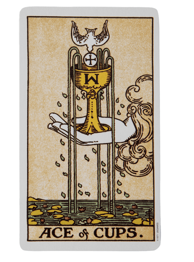 Exploring The Minor Arcana #1 - Tarot Suits Explained: Emotions, Action, Thought, And Resources 2 Ace of cups card from the rider-waite tarot deck representing the suit of cups, one of the four tarot suits linked to emotions and the element of water.