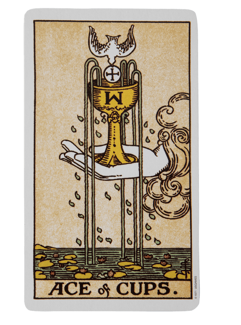 Ace of cups