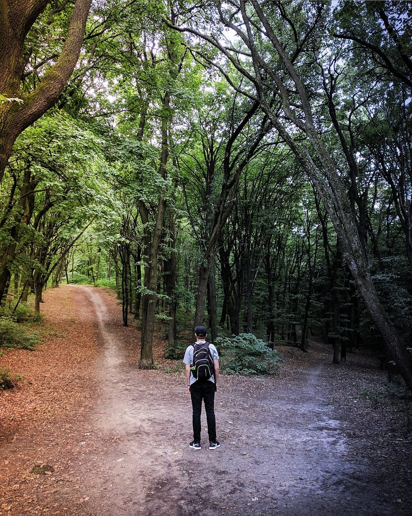 Person standing at a fork in the forest, facing two diverging paths, representing a moment where what tarot can do is offer clarity in times of real-life decision making.