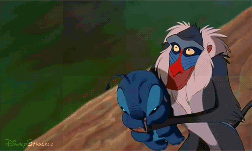 The Fool’s Journey: Life’s Growth And Transformation 6 Disney the lion king lilo and stitch